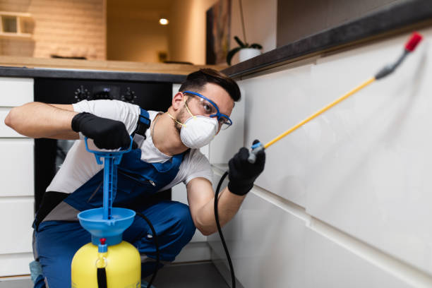 Best Local Pest Control Services  in Mulberry, NC