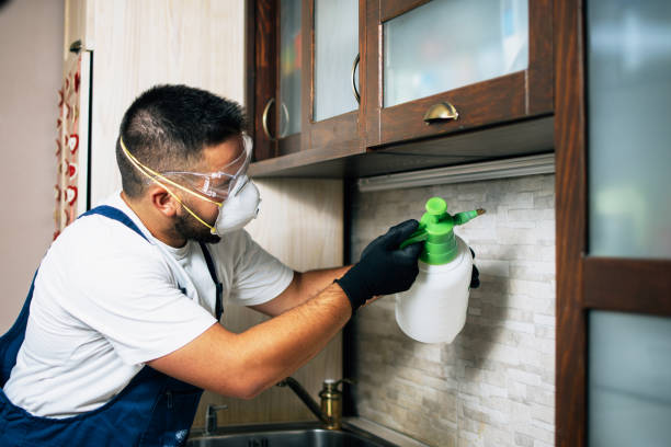 Best Wildlife Control Services  in Mulberry, NC