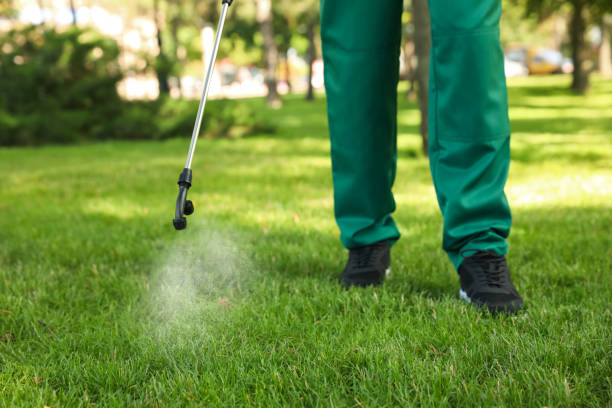 Best Cockroach Control Services  in Mulberry, NC